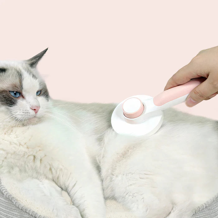 Self-Cleaning Pet Brush