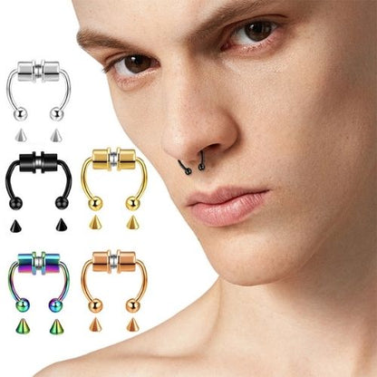 4x Magnetic Septum Ring